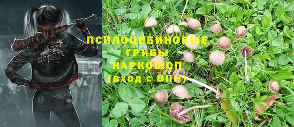 ALPHA-PVP Болотное