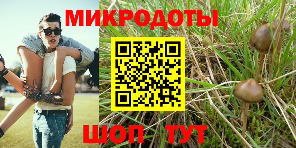 Боровичи  Псилоцибиновые грибы GOLDEN TEACHER  Вход с VPN  Псилоцибиновые грибы Cubensis 