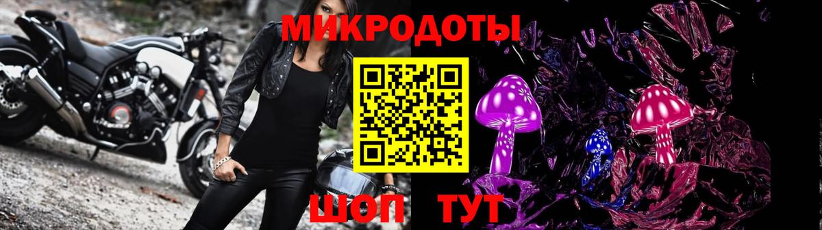 Галлюциногенные грибы мицелий  Псилоцибиновые грибы Psilocybe  Боровичи 