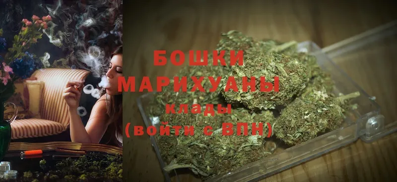 Бошки марихуана White Widow  наркотики  Боровичи 